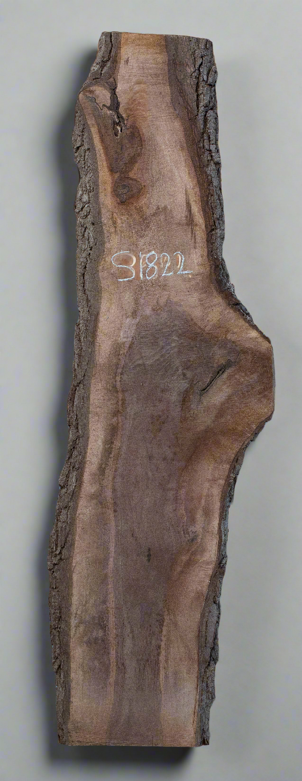 Black Walnut - S1822 & Black Walnut - S1823 Book-matched Live Edge Slab Pair