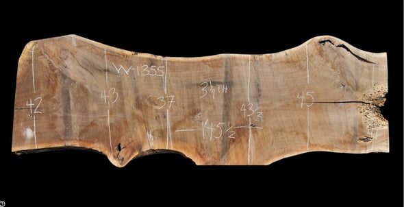 Black Walnut - W1355