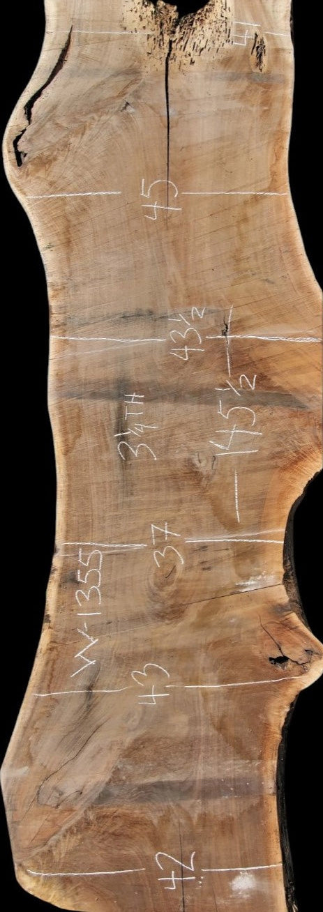 Black Walnut - W1355