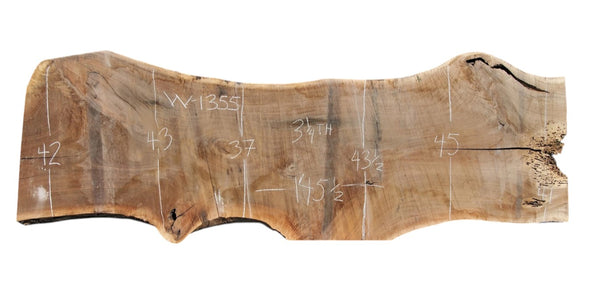 Black Walnut - W1355
