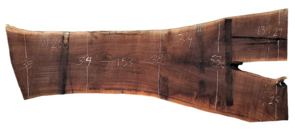 Black Walnut - W250