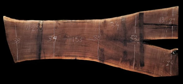 Black Walnut - W250