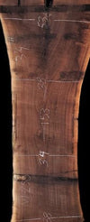 Black Walnut - W250