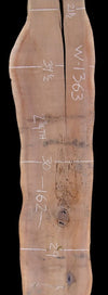 Black Walnut - W1363