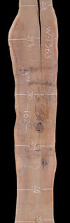 Black Walnut - W1363