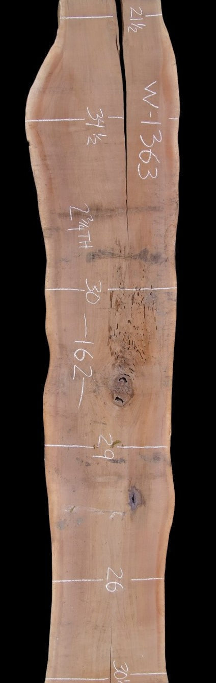 Black Walnut - W1363
