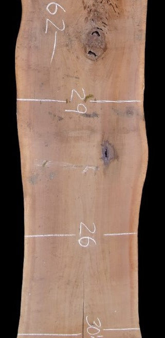 Black Walnut - W1363