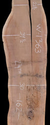 Black Walnut - W1363