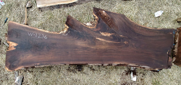 Black Walnut - W1236