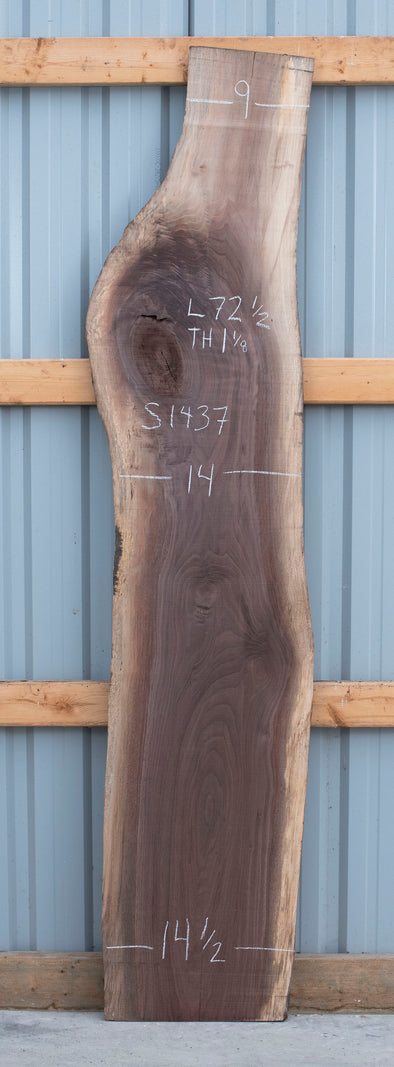 Black Walnut - S1437