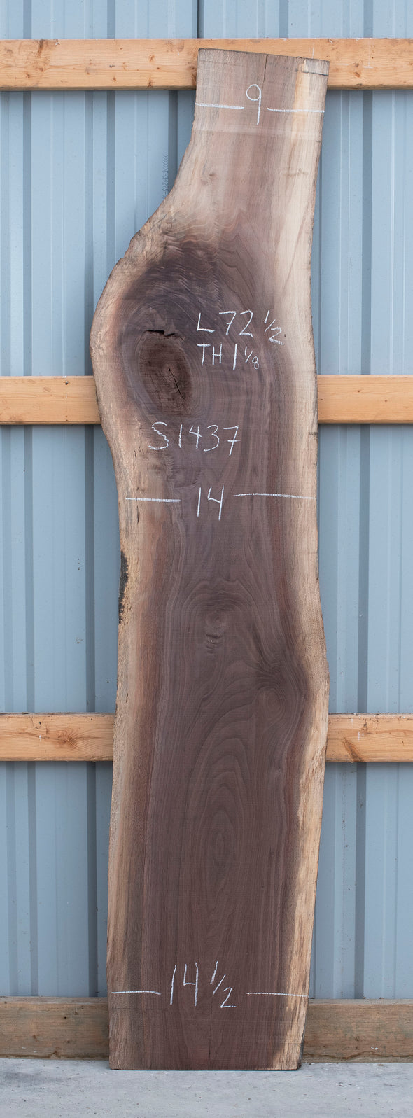 Black Walnut - S1437