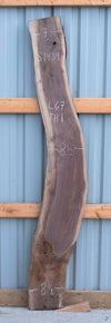 Black Walnut - S1439