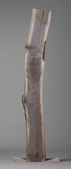 Black Walnut - S1518