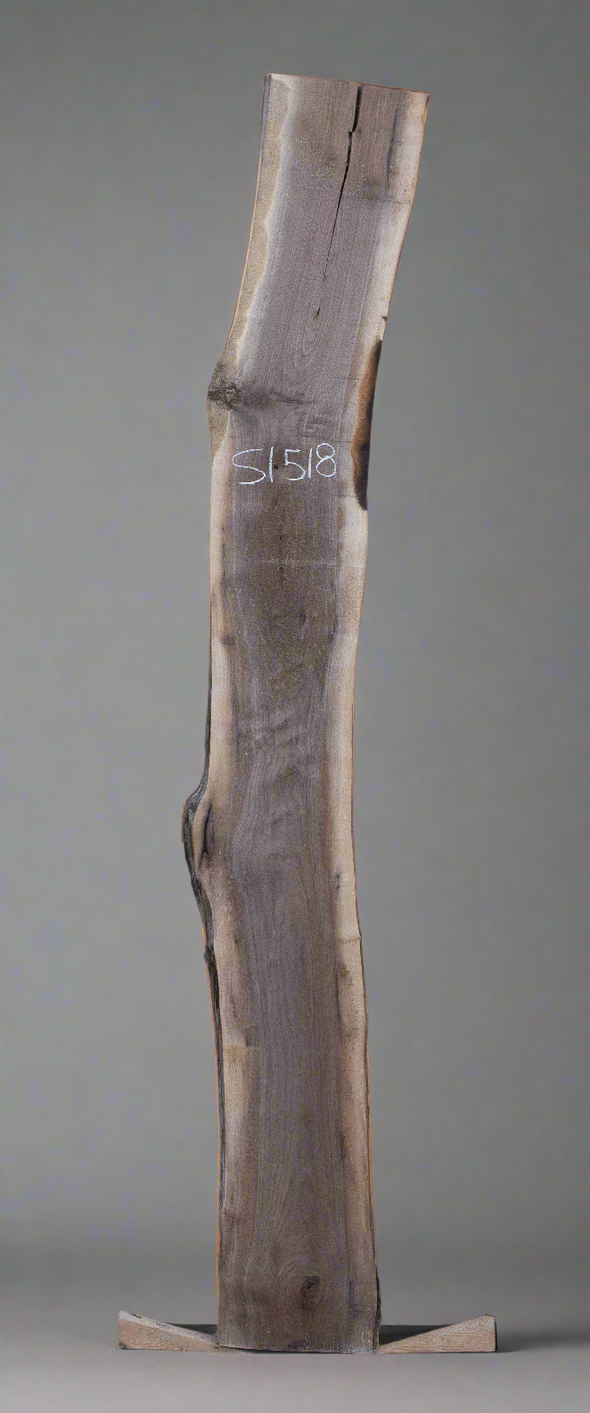 Black Walnut - S1518