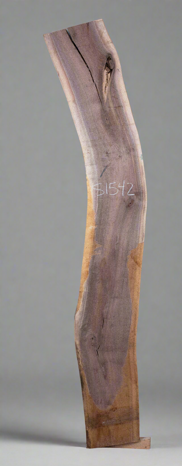 Black Walnut - S1542, Black Walnut - S1563 & Black Walnut - S1570 Trio