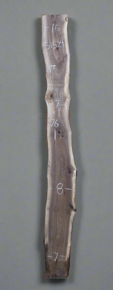 Black Walnut - S1524
