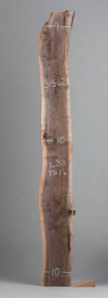 Black Walnut - S1562