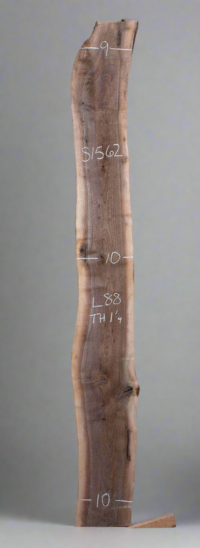 Black Walnut - S1562