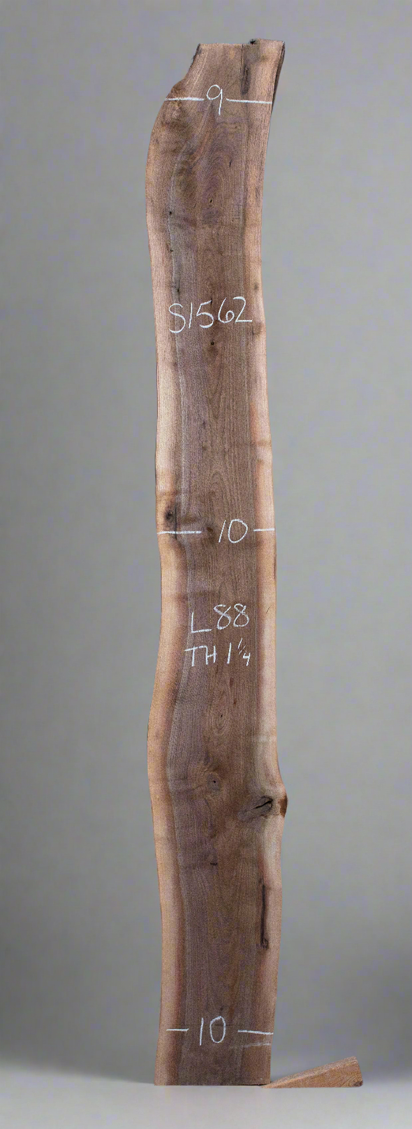 Black Walnut - S1562