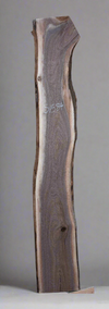 Black Walnut - S1584