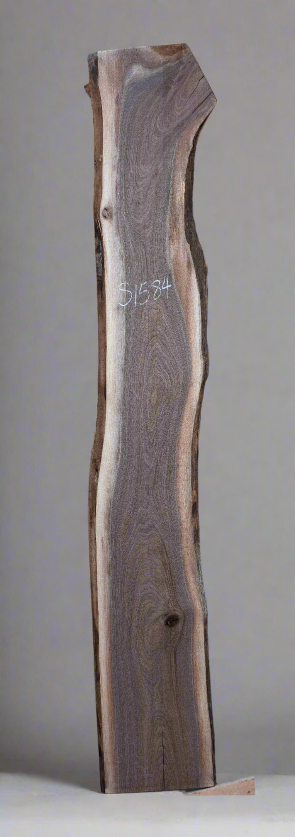 Black Walnut - S1584