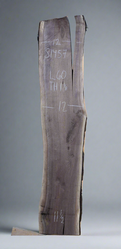 Black Walnut - S1457
