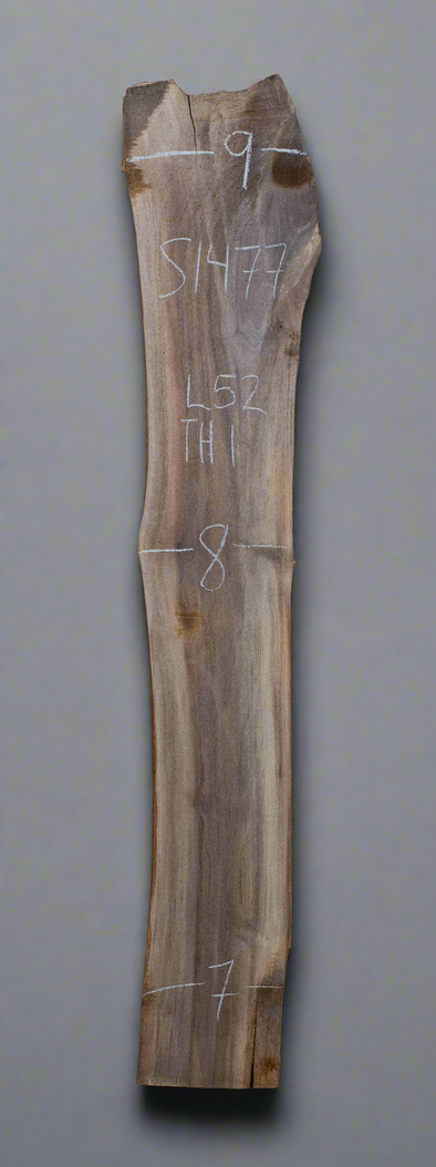 Black Walnut Live Edge Slab - S1477