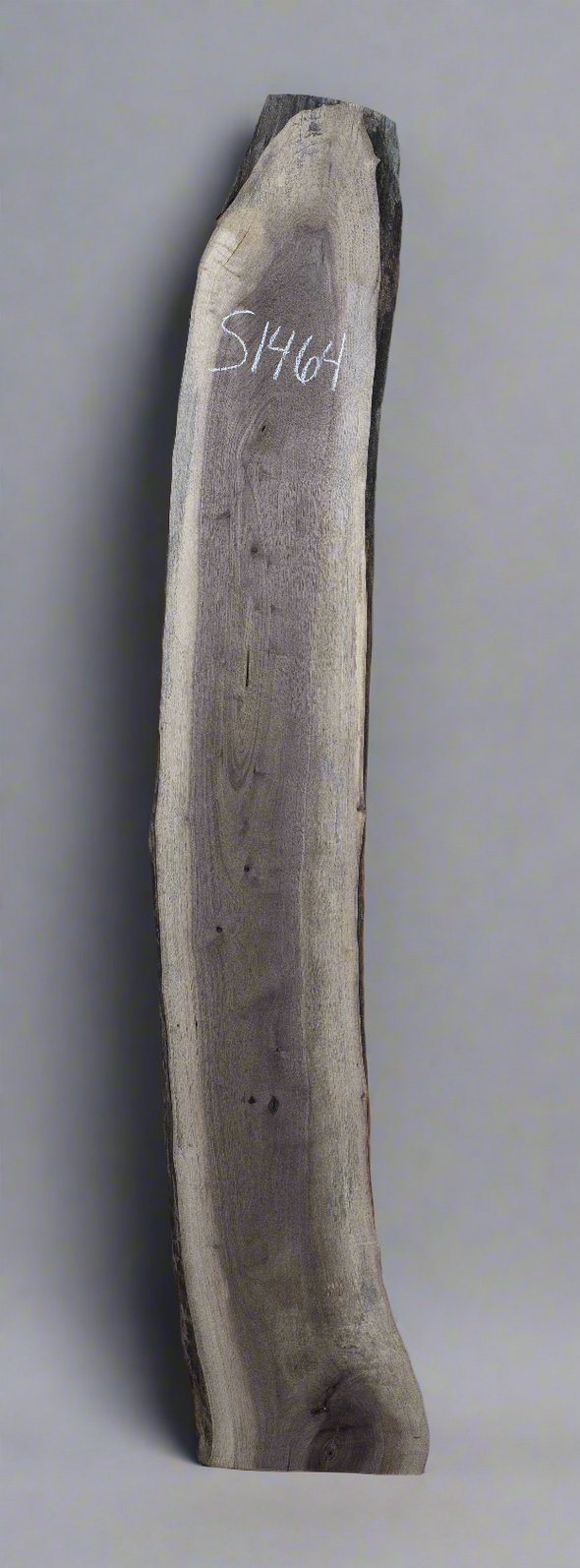 Black Walnut - S1464