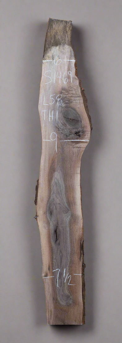 Black Walnut - S1469