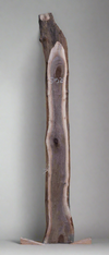 Black Walnut - S1520