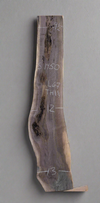 Black Walnut - S1450