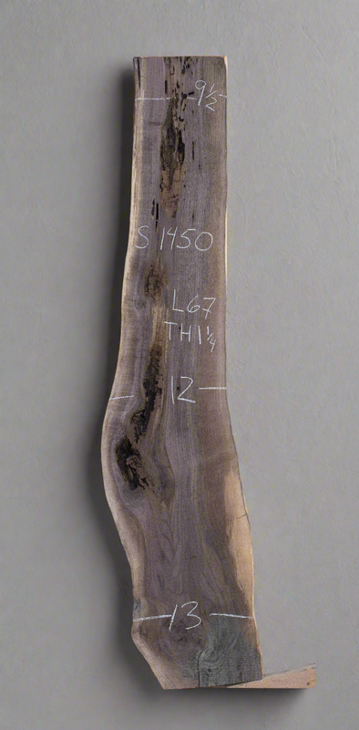 Black Walnut - S1450