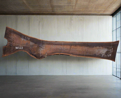 Black Walnut - W121