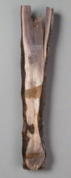 Black Walnut - S1599