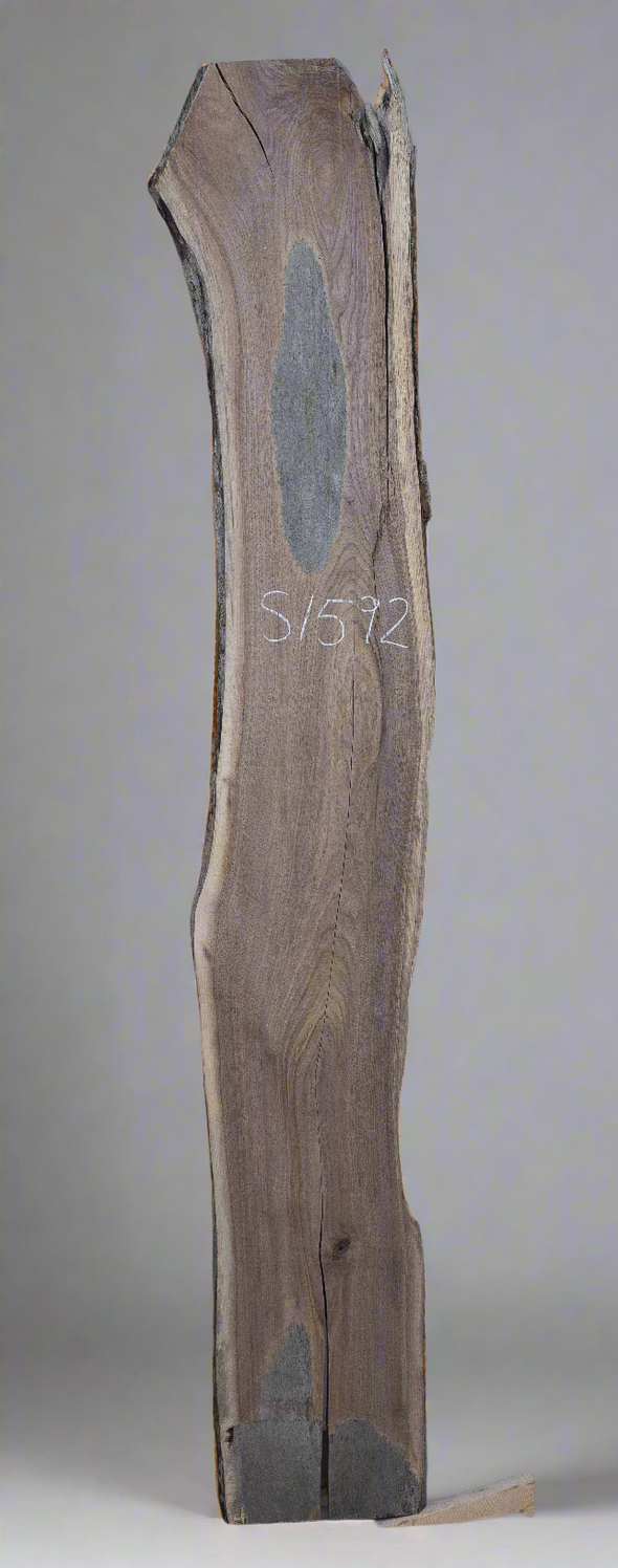 Black Walnut - S1592
