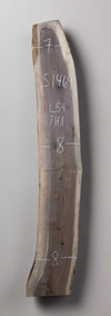 Black Walnut - S1464