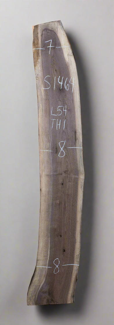 Black Walnut - S1464
