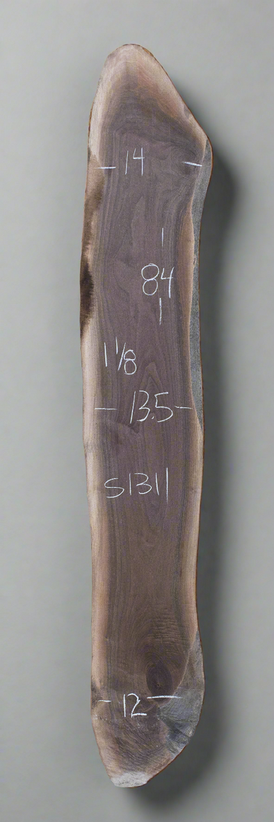 Black Walnut - S1311