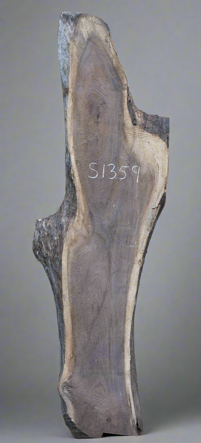 Black Walnut - S1359