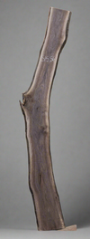 Black Walnut - S1556