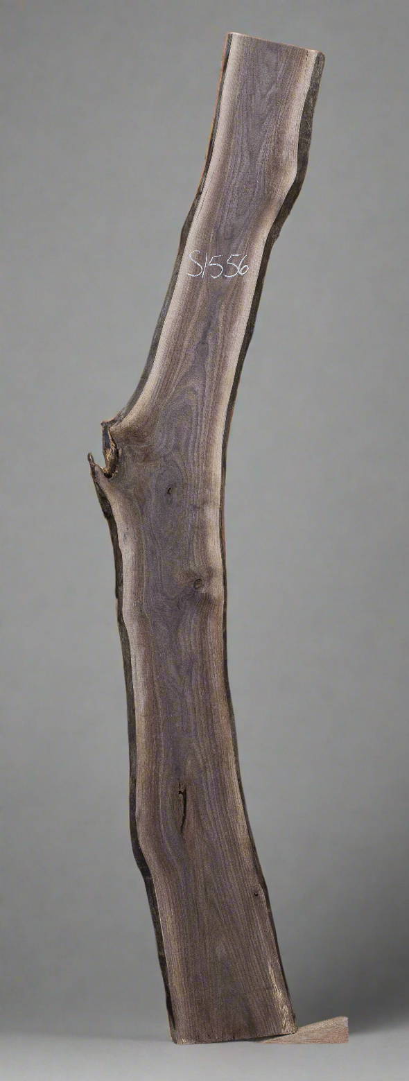 Black Walnut - S1556