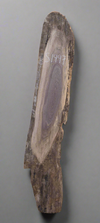 Black Walnut - S1447