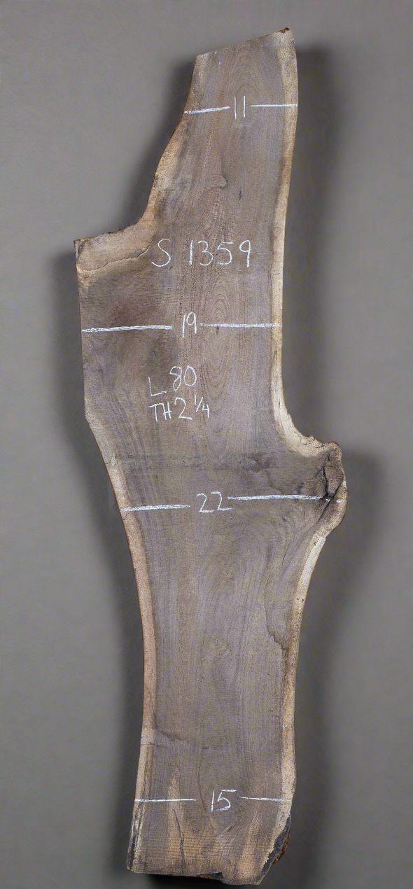Black Walnut - S1359