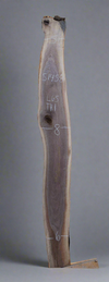 Black Walnut - S1458