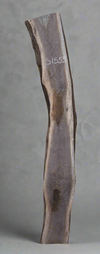 Black Walnut - S1555