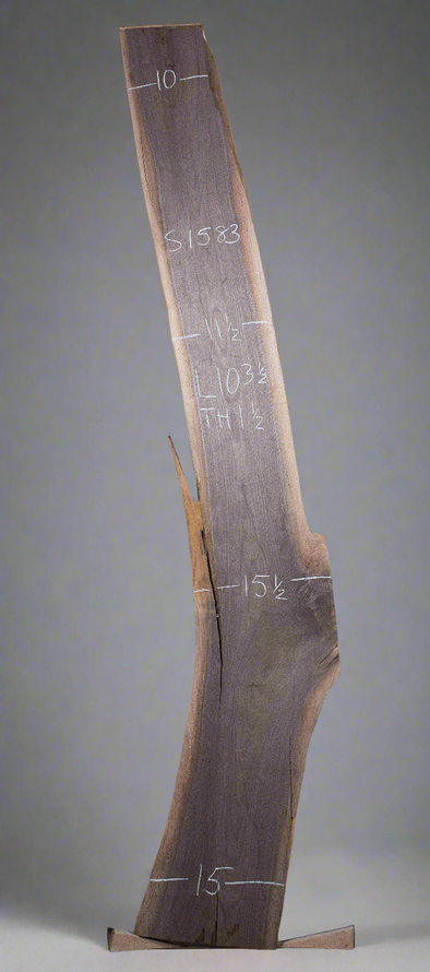 Black Walnut - S1583