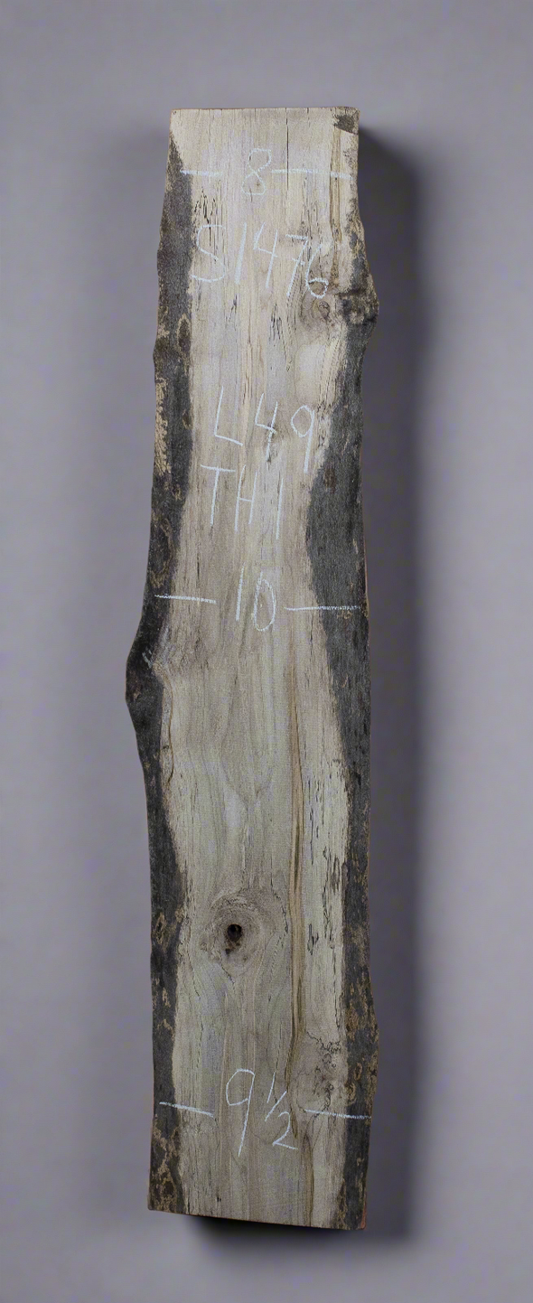 Spalted Maple - S1476