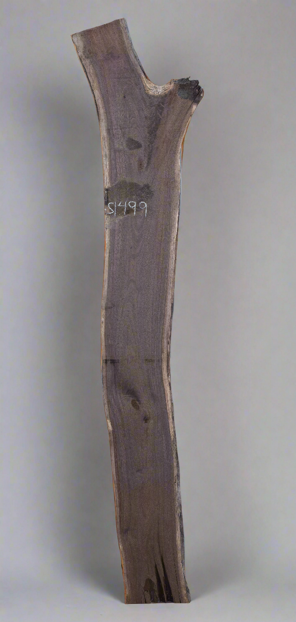 Black Walnut - S1499, Black Walnut - S1500 Bookmatched Pair