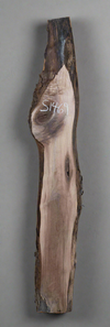Black Walnut - S1469