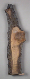 Black Walnut Live Edge Slab - S1814